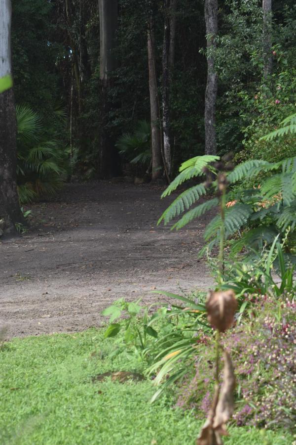 Beechs' Brook Rainforest Retreat Cootharaba Buitenkant foto